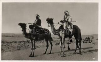 Bedouins in the desert on camel back