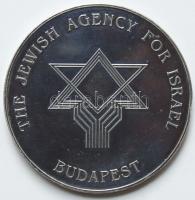 Theodor Herzl "Izrael-Budapest" modern fém plakett T:1