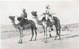 From Syria and Palestine: Bedouins in gala