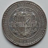 Ausztria/Österreich 1882. II. Niedösterreichische Landesscheissen in St.Pölten/ lövészbajnokság Silber/ezüst T:3 ph/RF