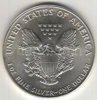 USA 1991. 1$ (1oz.) ezüst T:1