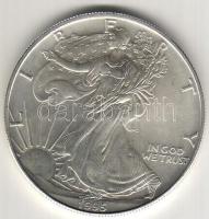 USA 1995. 1$ (1oz.) ezüst T:1
