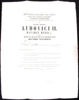 1868 Bajor Tudományegyetem filozófus oklevél / Bavarian philosopher diploma 44x60 cm