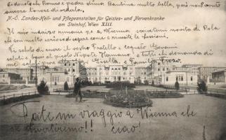 Vienna Steinhof Psychiatric Hospital