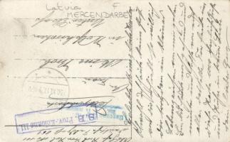 Mercendarbe, Merzendorf; castle photo