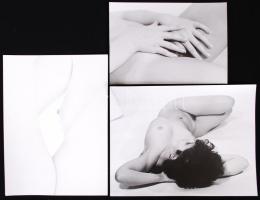 cca 1980 3db szép, erotikus fotóművészeti kompozíció különféle méretben / 
Erotic art photos