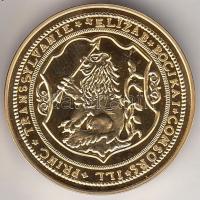 "Magyar aranypénzek utánveretben - Bocskai Erzsébet 10 dukát" aranyozott Ag(0.999) emlékér...