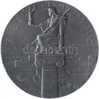 Svédország 1912. "Stockholmi Olimpiai Játékok" Ón emlékérem. Szign.: Erik Lindberg (50.76m...