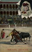 Picador's victory over the bull