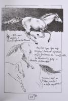 Szunyoghy András: Hogyan rajzoljunk lovat. Tanácsok és egy kis anatómia a ló rajzolásához. H.n., é.n...