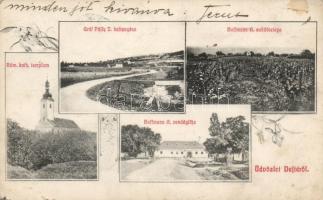 Dejte vineyard and restaurant of A. Hoffmann, fish farm of I. Pálfy, floral (b)