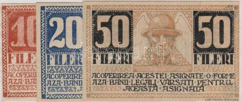 Szükségpénz/ Notgeld/ 1919. Temesvár/Timisoara 10f,20f,50f T:I