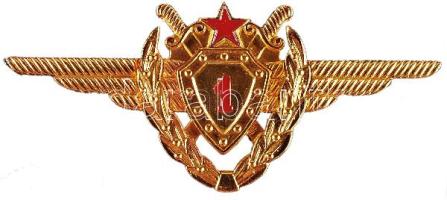 1975. "Aranykoszorús I. osztályú repülőgépvezető jelvény, jelzett aranyozott ezüst kitüntetés, igen ritka darab. T:1- RR! 1975. "First class pilot badge with golden wreath", hallmarked gilt silver badge, it is a very rare version of this decoration! C:AU Rare!