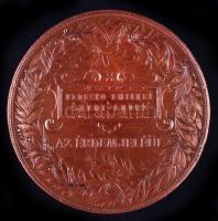 Scwartz István (1851-1924) 1885. "Országos Átalános Kiállítás Budapesten / Az Érdem Jeléül&quot...