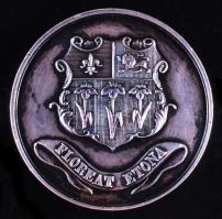 1883. "Etoni verseny" Ag emlékérem (36g/38mm) T:2 1883. "Competition in Eton" Ag commemorative medallion (36g/38mm) C:XF