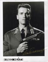 Arnold Schwarzenegger fényképe sajátkezű aláírásával/Foto mit eigenh. Unterschrift (20x25cm)