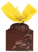 Ifj. Vastagh György (1868-1946) 1909. "XVI. Nemzetközi Orvos Kongresszus - Budapest" bronz plakett sárga szalaggal (40x40mm) T:1- 1909. "16th National Medical Congress in Budapest" Br plaque with yellow ribbon. Sign: György Vastagh (40x40mm) C:AU HP-6363., HV-1398.
