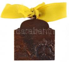 Ifj. Vastagh György (1868-1946) 1909. "XVI. Nemzetközi Orvos Kongresszus - Budapest" bronz...