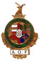 Nagy Britannia ~1910. "UNITY BENEVOLENCE CONCORD / A.O.F (Ancient Order of Foresters)" zománcozott Br erdész jelvény (46x30mm) T:1- (sérült tű) Great Britain ~1910. "UNITY BENEVOLENCE CONCORD / A.O.F (Ancient Order of Foresters)" enamelled bronze foresters badge (46x30mm) C:AU (pin error)