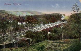 Pozsony Red bridge, train