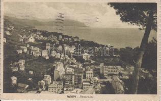 Nervi (gluemark)