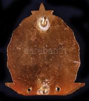 ~1980. "500 ezer kilométer balesetmentesen" felcsavarozható kitüntető jelvény T:2