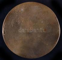 Rácz Edit (1936-) 1972. "Vezess Baleset Nélkül Mozgalom" Br emlékplakett (94mm) eredeti dí...