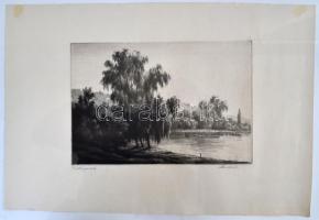 Paulovits Pál (1892-1975): Fűzfás partok. Rézkarc, papír, jelzett, 20×28 cm