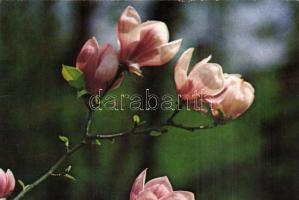 140 db főként modern motívum lap, pár régi képeslap, üdvözlőlap / 140 pieces of modern motive greeting cards