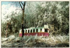 12 db modern úttörővasút témájú képeslap / 12 pieces of modern railway of pioneer cards