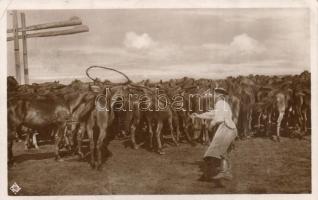 7 db régi folklór lap / 7 pieces of old folklore cards