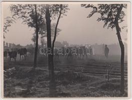 cca 1940 Dulovits Jenő (1903-1972): Hazafelé hátoldalt pecséttel jelzett vintage fotó 9x12 cm