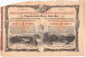 Budapest 1888. "Magyarországi Jószív Egyesület" sorsjegye, pecsételéssel 2Ft-ról magyar és...