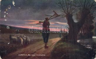 19 db régi városképeslap vegyes minőségben: USA (4), Törökország (3) Németország (1), Lengyelország ...