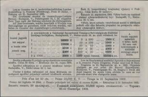 1902. "Pozsonyban Rendezendő II. Mezőgazdasági Országos Kiállítás" sorsjegye 50f értékben,...