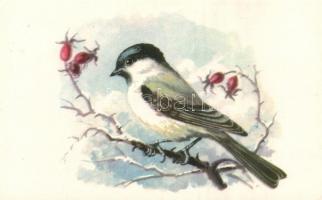 Egy doboznyi vegyes, modern képeslap: leporellók, képeslapfüzetek, különböző méretű és formájú képes...