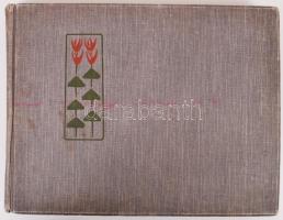 cca 1900 113 db utazás közben kézsített fotó, tájképek, életképek, műemlékek, hozzá egy jó állapotú ...