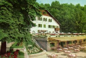 19 db modern képeslap: Aggtelek