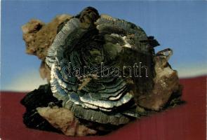 43 db modern képeslap: ásványok / 43 modern postcards: minerals