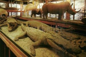 30db modern, használatlan, jó minőségű képeslap: állatok / 30 modern, unused, good quality postcards...