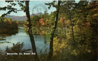 20 db modern, észak-amerikai képeslap: kertek, parkok / 20 modern North American postcards: gardens,...