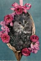 350 db modern képeslap, főleg motívumok benne sok folklor, erotika, cserkész, nagyon kevés városkép ...