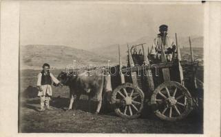 Macedonian carriage, folklore, photo