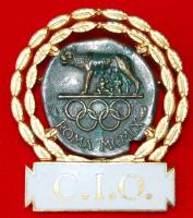 Olimpiai éremgyűjteméy/ Olympische Medaillensammlung:
Olympische Medaillen, umfangreiche Sammlung v...
