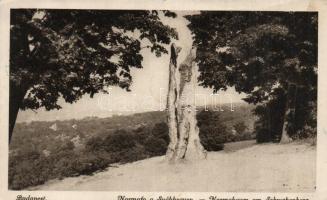 Budapest 4 db képeslap, ebből 3 fotó