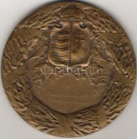 1911. "Internatonale Hygiene Austellung Dresden" magyar pavilonja/ Ungarische Pavillon, Er...