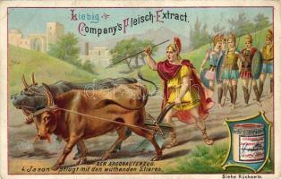 ca. 1900. 444 db Liebig szines litho reklámkártya főleg 6 db-os teljes sorozatokban, klf. témákban /...