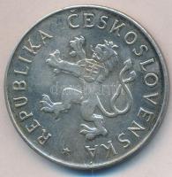 Csehszlovákia 1955. 50K Ag "Felszabadulás 10. évfordulója" T:2
Czechoslovakia 1955. 50 Kor...