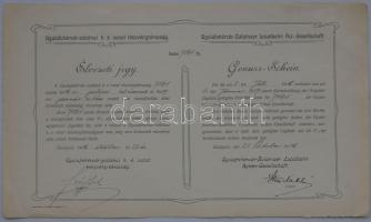 1906 Gyulafehérvár-Zalatnai h.é. vasút Rt. élvezeti jegy / Localbahn AG Genuos-Schein