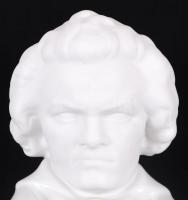 Beethoven, részben biszkvit porcelán mellszobor / 
Beethoven, partly bisque porcelain bust, 21cm